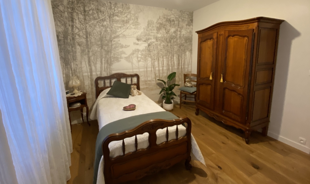 Papier peint panoramique, décoration d'intérieur, Champtoceaux, Oudon, Orée d'Anjou, Ancenis, Angers, Nantes